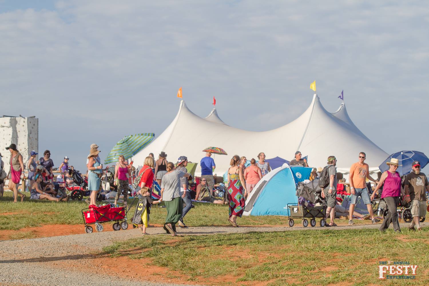 The Festy Experience