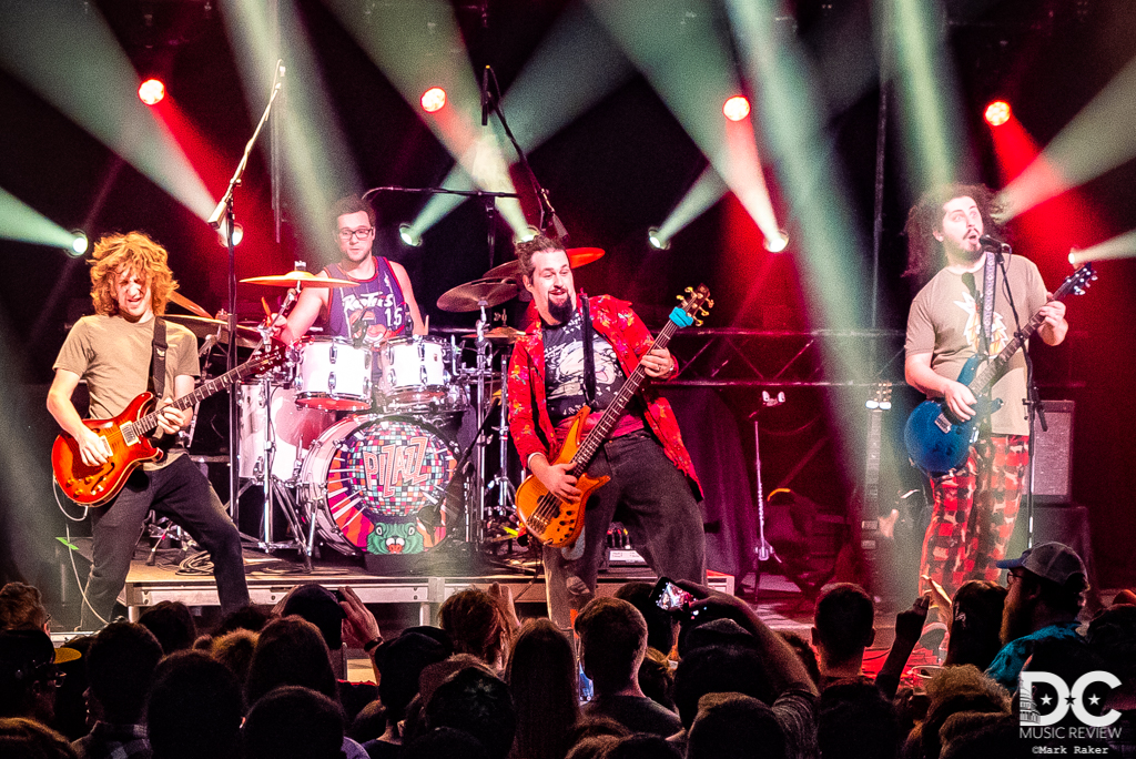 Pigeons Playing Ping Pong