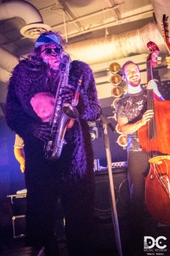 DelFest 2019, Cumberland MD