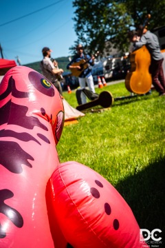 DelFest 2019, Cumberland MD