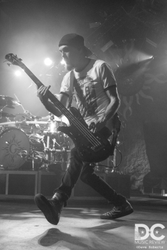 Robbie Merrill