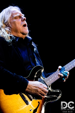 Warren Haynes