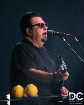 Los Lobos