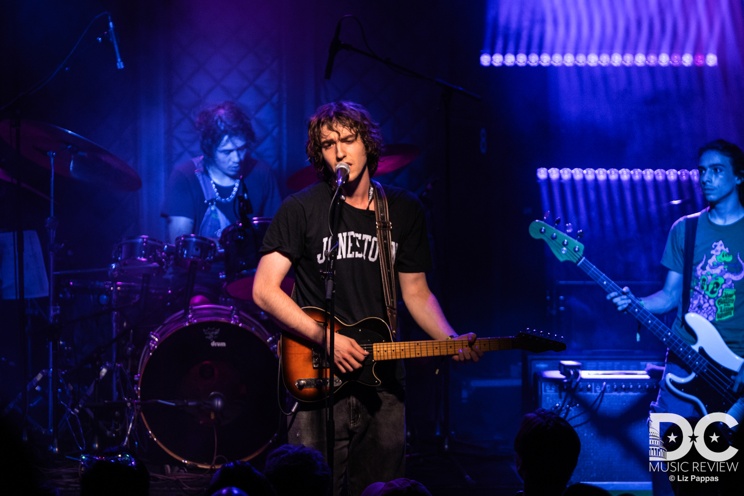 Geese (Saturday, July 26, 2025)