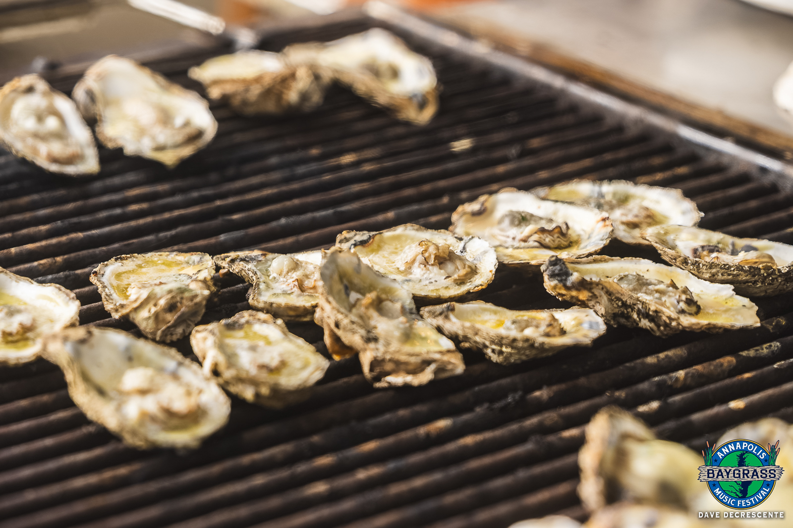 Photo Credit: Dave DeCrescente