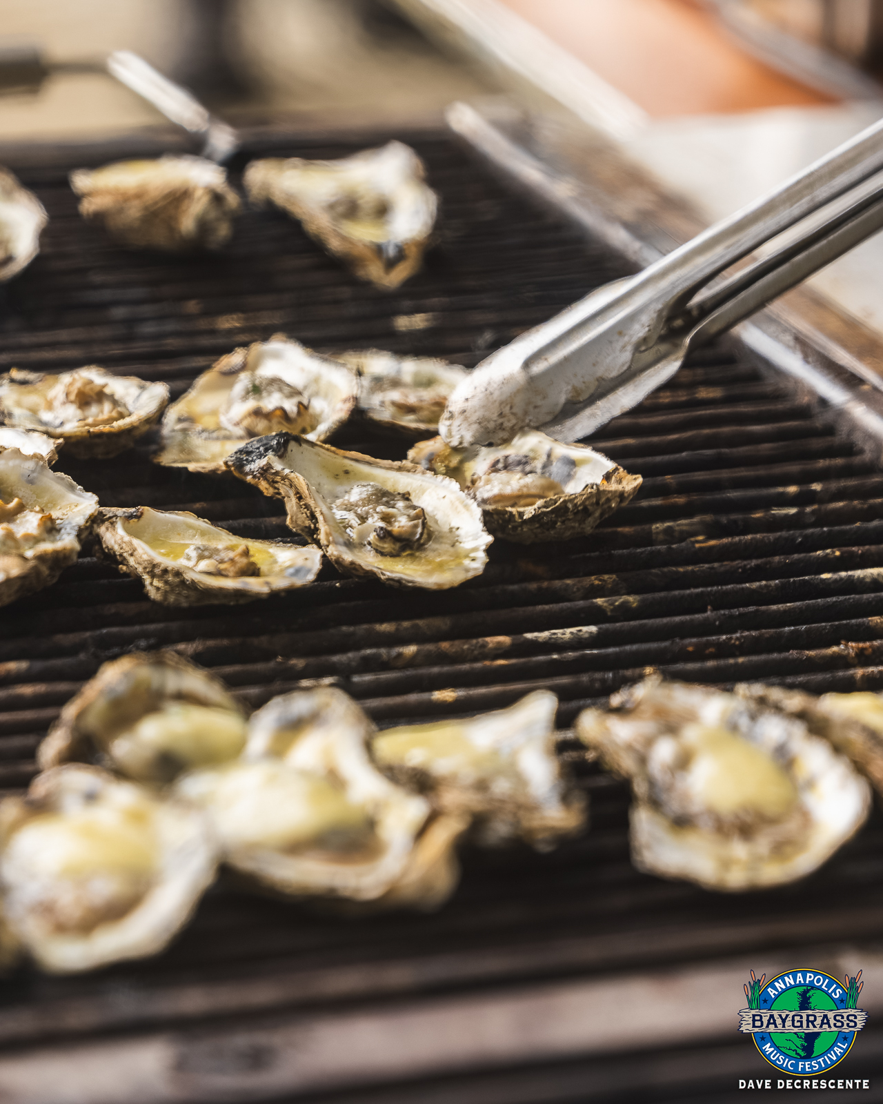 Photo Credit: Dave DeCrescente