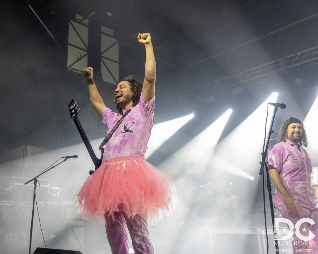 Pigeons Playing Ping Pong