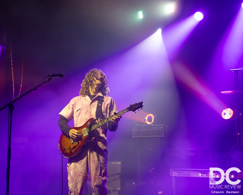 Pigeons Playing Ping Pong