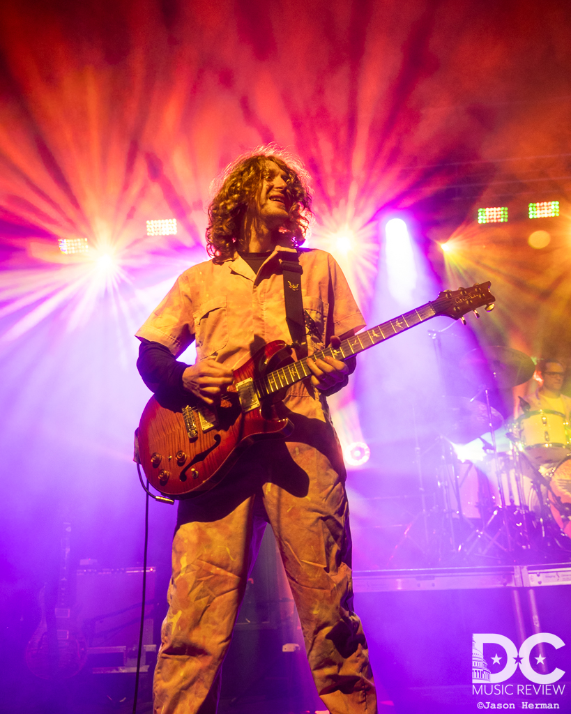 Pigeons Playing Ping Pong