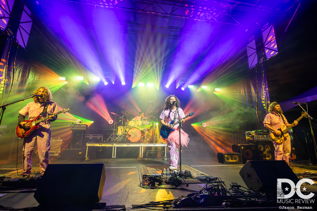 Pigeons Playing Ping Pong