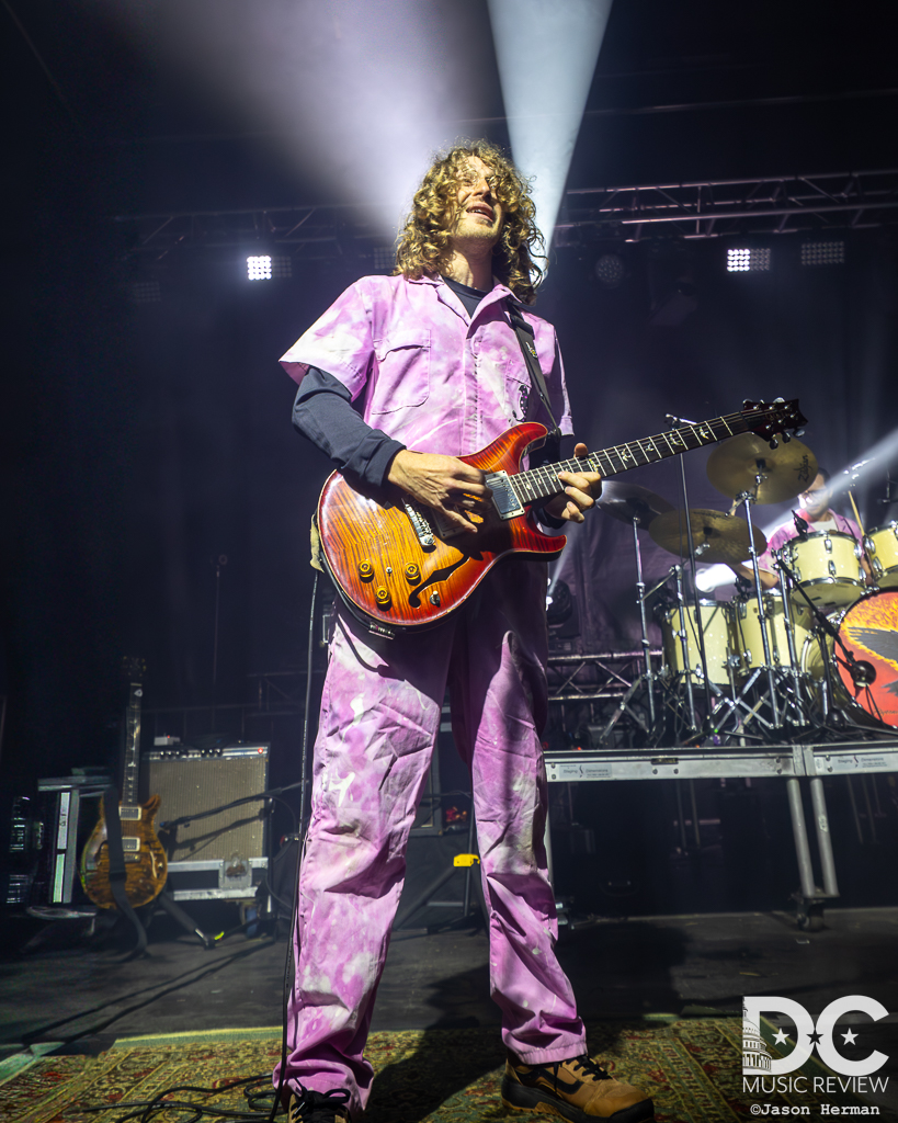 Pigeons Playing Ping Pong