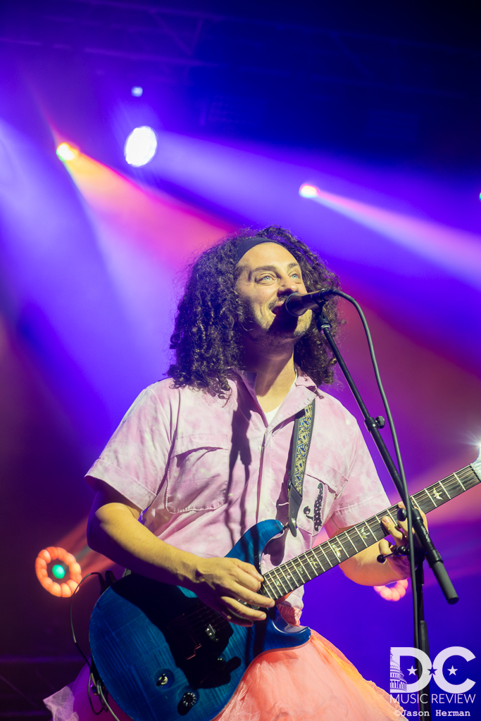 Pigeons Playing Ping Pong