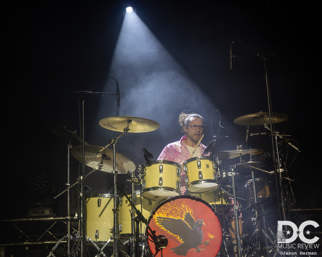 Pigeons Playing Ping Pong