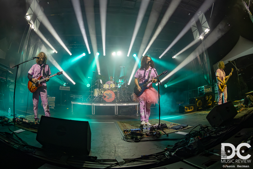 Pigeons Playing Ping Pong