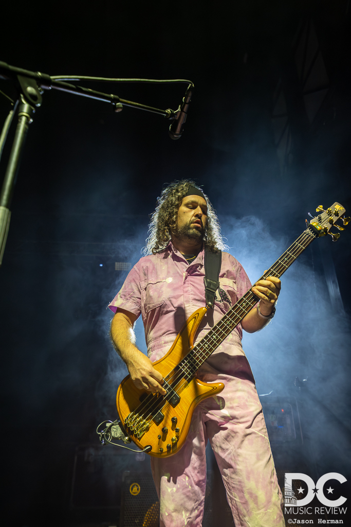 Pigeons Playing Ping Pong