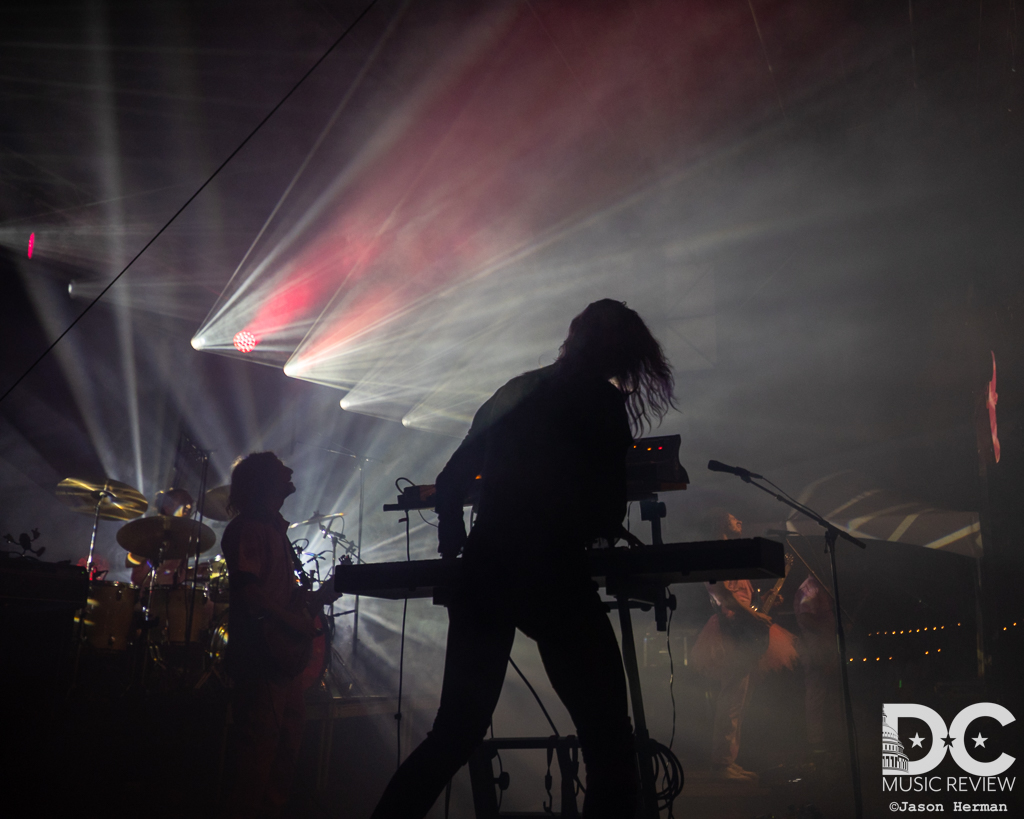 Natalie Brooke with Pigeons Playing Ping Pong