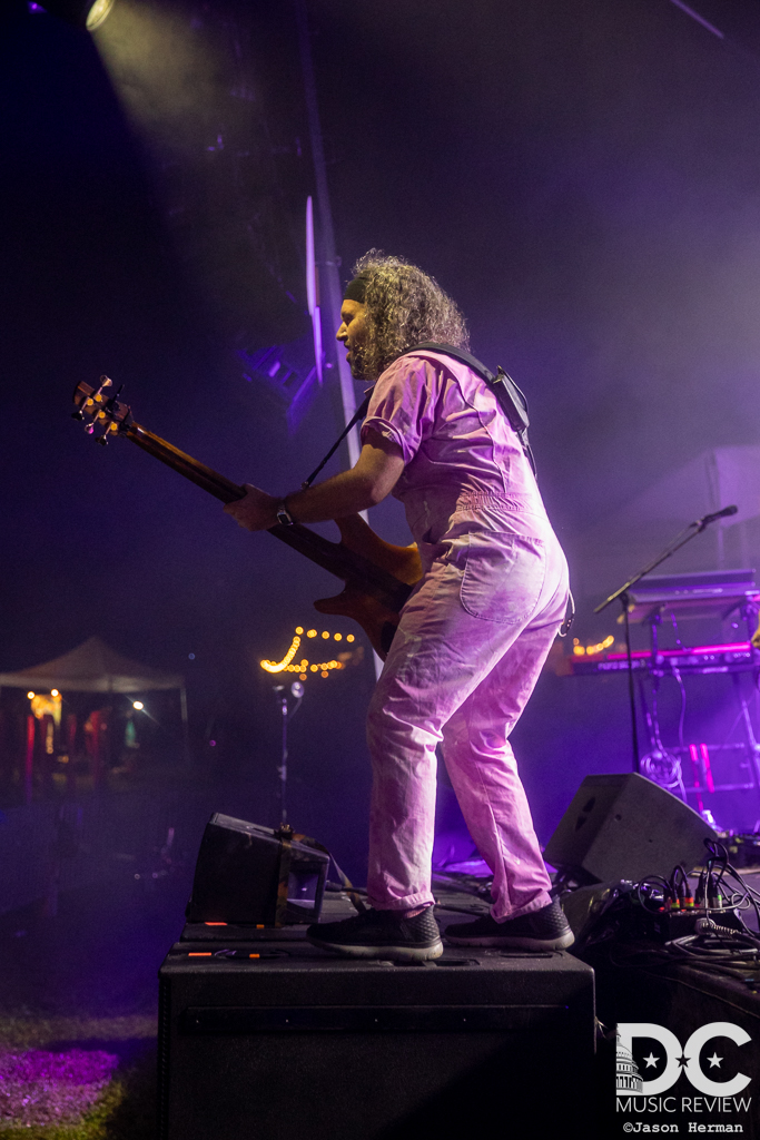 Pigeons Playing Ping Pong