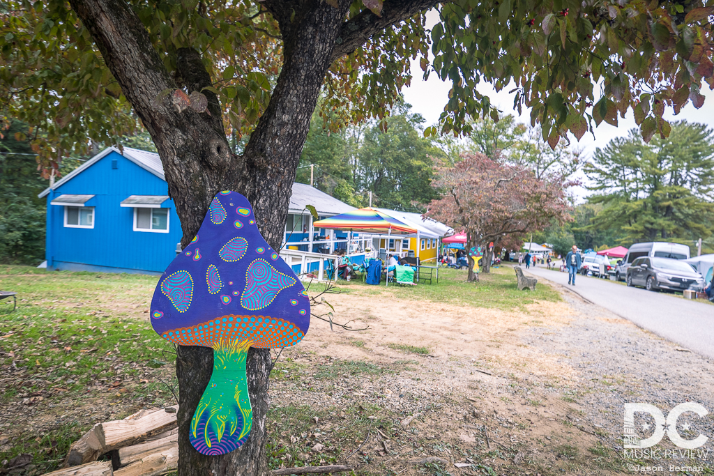 Ramble Festival 2025